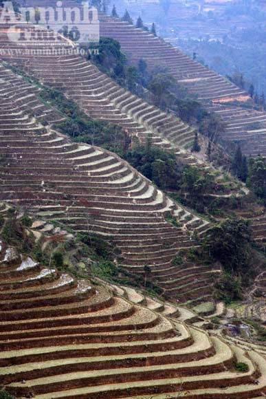 Chuyện đói - no trên thửa ruộng bậc thang được “phong hàm” di tích - ảnh 4