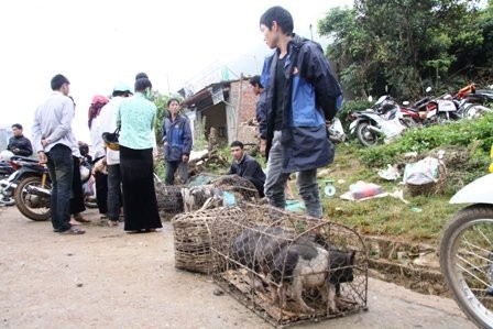 Lạ kỳ phiên chợ “người đứng, cá nằm”  - ảnh 6