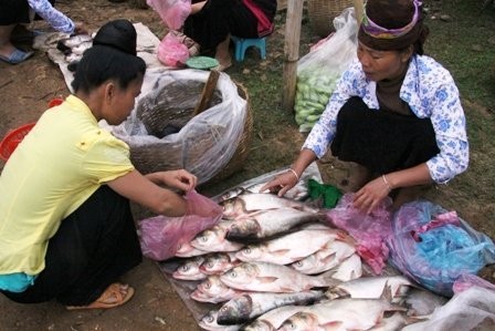 Lạ kỳ phiên chợ “người đứng, cá nằm”  - ảnh 8