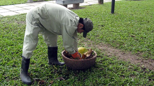 Việt Nam hưởng ứng Ngày Đất ngập nước Thế giới  - ảnh 8