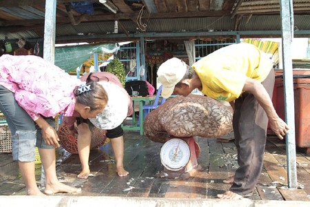 Việt kiều Biển Hồ đón Tết Quý Tỵ - ảnh 3