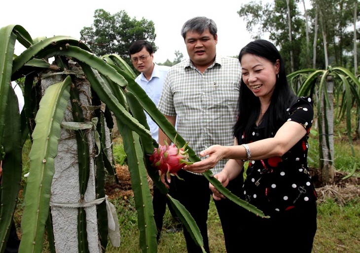 Sớm đưa Vĩnh Phúc trở thành tỉnh công nghiệp của Miền Bắc - ảnh 2