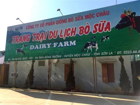 Du xuân Mộc Châu – cảnh đẹp trên mọi cung đường - ảnh 7