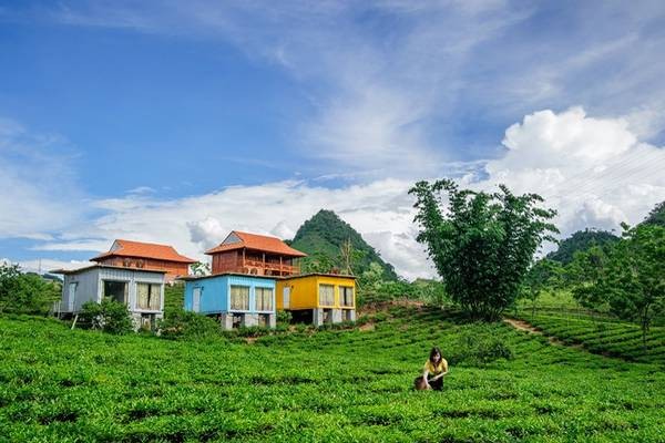 Du lịch homestay: Điểm đến hấp dẫn tại Mộc Châu - ảnh 1