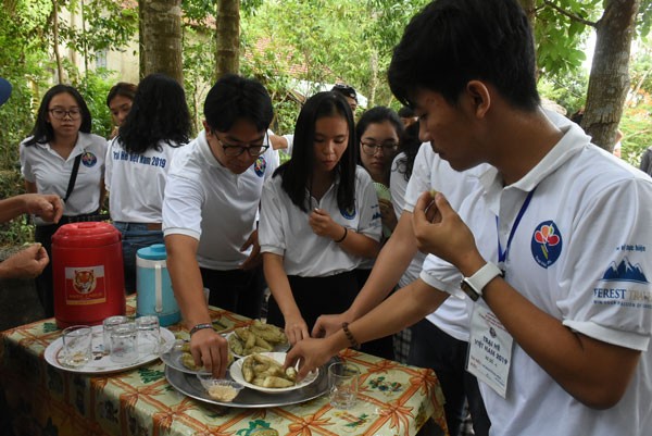 Đại biểu Trại hè Việt nam 2019 thăm các di tích lịch sử tỉnh Quảng Nam - ảnh 9