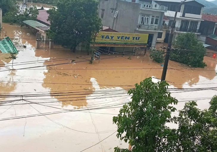 Hội chữ thập đỏ  Việt Nam phát động chung tay giúp đỡ người dân khắc phục hậu quả mưa bão - ảnh 1