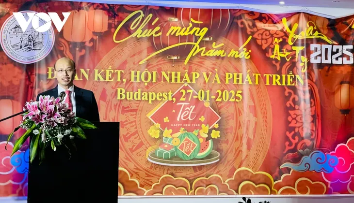 Ấm áp chương trình mừng Xuân Tết Ất Tỵ 2025 tại Hungary - ảnh 1