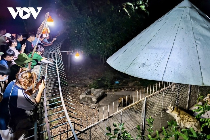 “Độc, lạ” tour ngắm thú ban đêm ở Thảo Cầm Viên Sài Gòn - ảnh 1