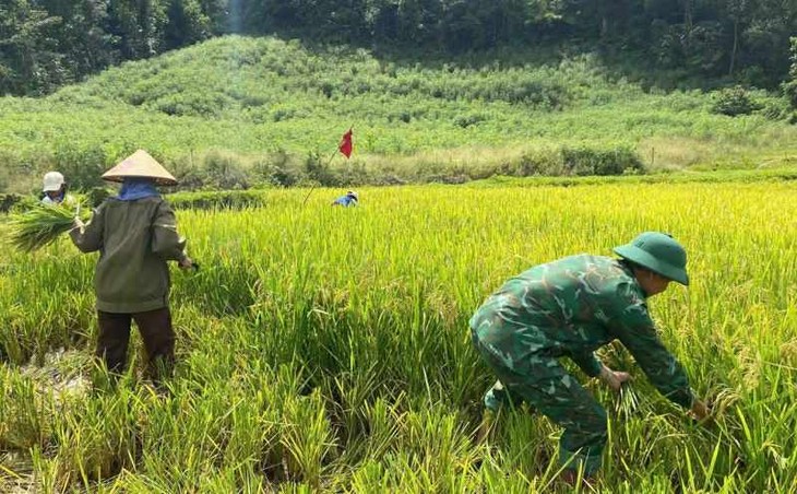 Bộ đội biên phòng tỉnh Quảng Trị hỗ trợ người dân ứng phó với bão, mưa lũ - ảnh 7