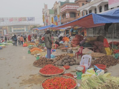 Không khí xuống đồng, ra khơi đầu Xuân - ảnh 1