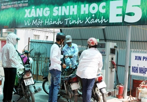 Chính phủ chỉ đạo đẩy mạnh sử dụng xăng sinh học  - ảnh 1