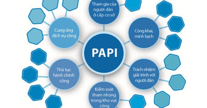 Chỉ số PAPI tiếp tục tạo ra những hiệu ứng đáng kể ở cấp tỉnh và cấp quốc gia - ảnh 1