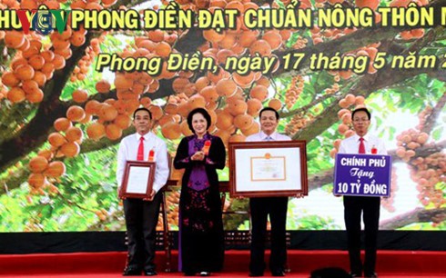 Xây dựng nông thôn mới là sự nghiệp lâu dài của đất nước - ảnh 1