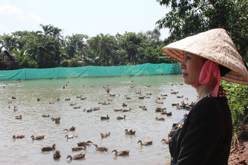 Vũ Thị Mai Liên: Đã đam mê thì phải quyết tâm theo đuổi đến cùng - ảnh 1