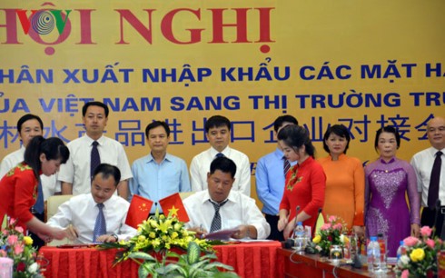 Kết nối thương nhân xuất khẩu hàng hóa sang thị trường Trung Quốc  - ảnh 1