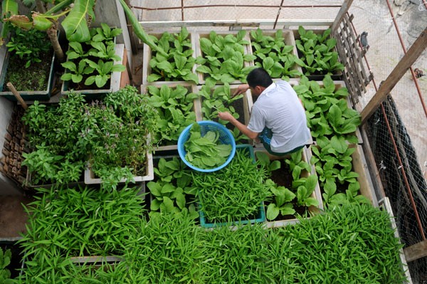 เยี่ยมเยือนบ้านบนโขดหินในหมู่เกาะเจื่องซา - ảnh 3