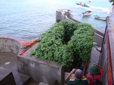 เยือนสวนการเกษตรบนหมู่เกาะเจื่องซา - ảnh 2