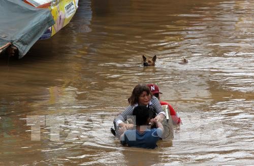 Number of StormTembin victims continues to rise  - ảnh 1