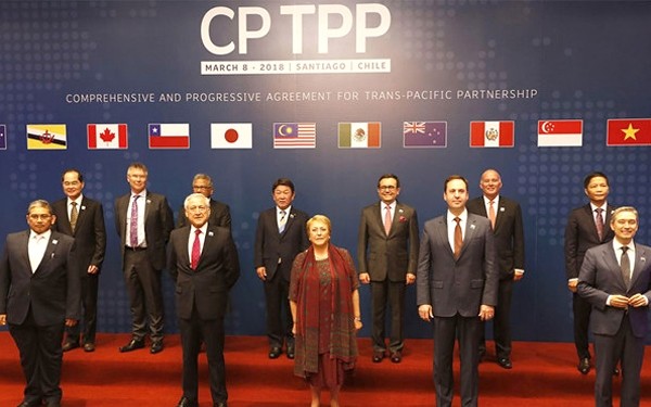 CPTPP comes into effect in Vietnam - ảnh 1