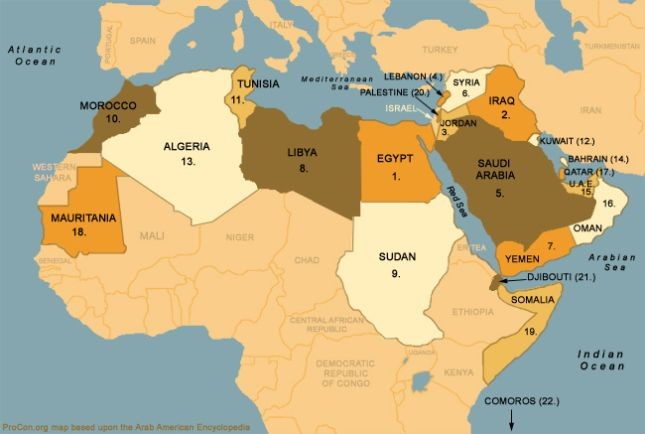 Palestine and the Arab world - ảnh 2