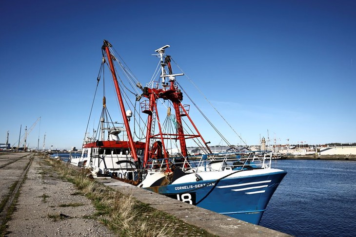 UK decries France's seizure of fishing boat as post-Brexit row deepens - ảnh 1