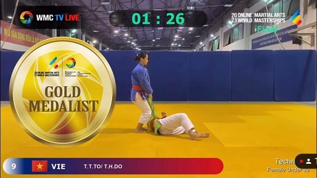 Vietnam wins big at Online World Martial Arts - ảnh 1