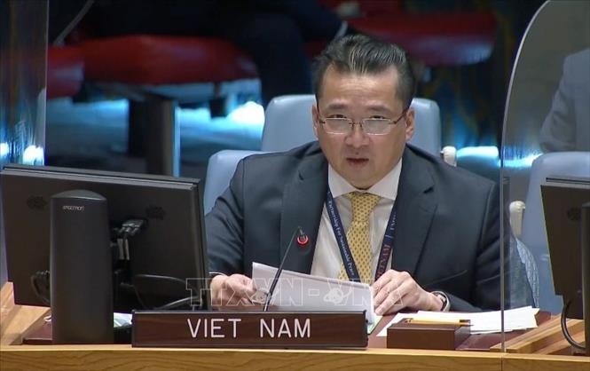 Vietnam calls for political progress towards elections in Libya - ảnh 1