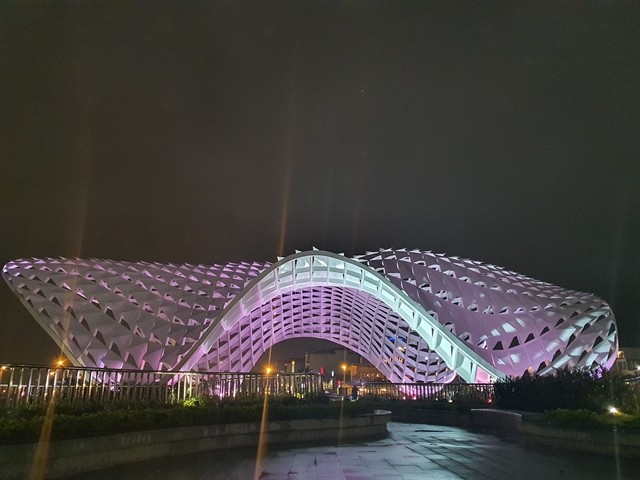 APEC Sculpture Park opens in Da Nang  - ảnh 2