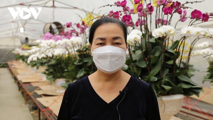 Pricy orchid flowers in blossom for Tet market - ảnh 4