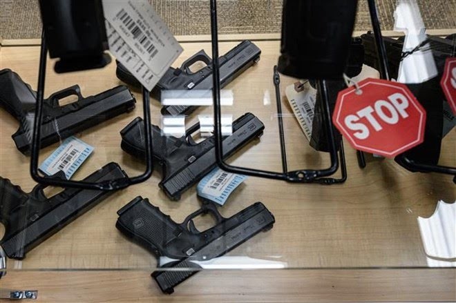 US House passes gun-safety legislation  - ảnh 1