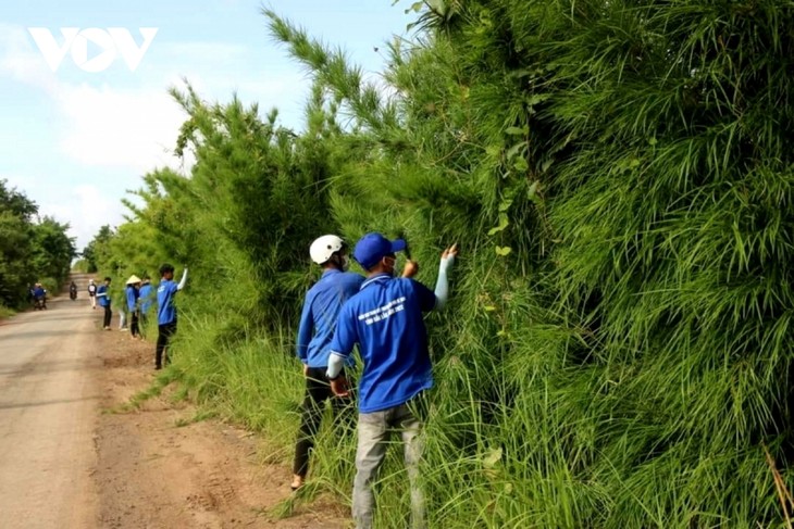 Voluntary summer campaign in Dak Lak’s border areas - ảnh 3