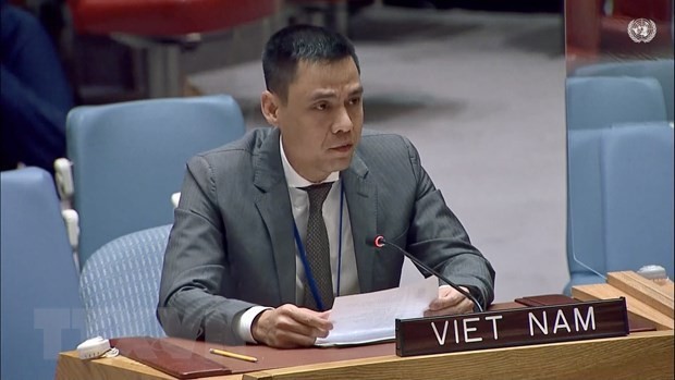Vietnam proposes UNDP be creative in mobilising resources for development - ảnh 1