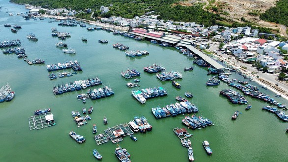 EC team inspect Khanh Hoa’s prevention of IUU fishing - ảnh 1