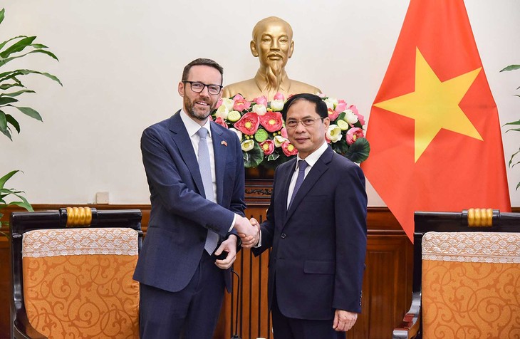 Vietnam, UK ramp up green growth cooperation - ảnh 1