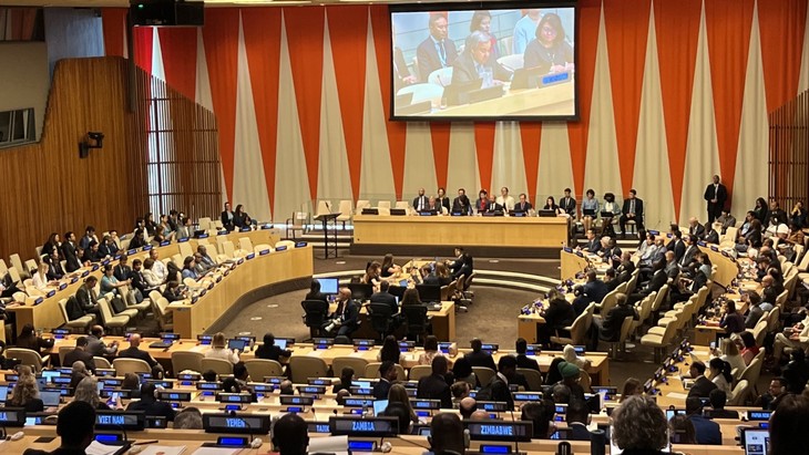 UN adopts historic High Seas Treaty, Vietnam applauds decision - ảnh 1