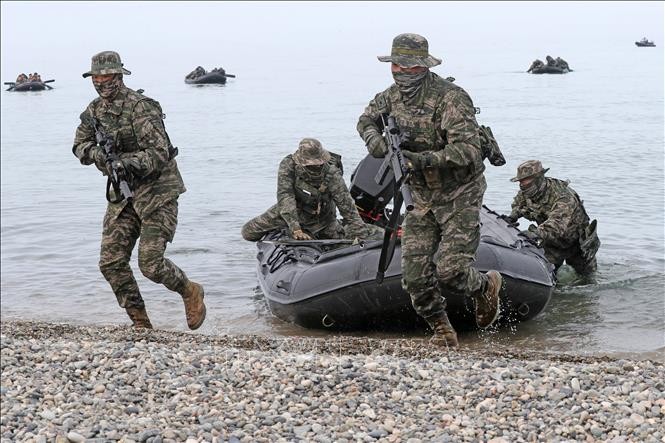 South Korea, US conduct major amphibious landing exercise - ảnh 1