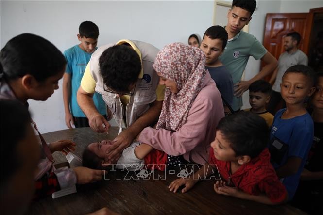 WHO: 161,000 children receive polio jabs in Gaza  - ảnh 1