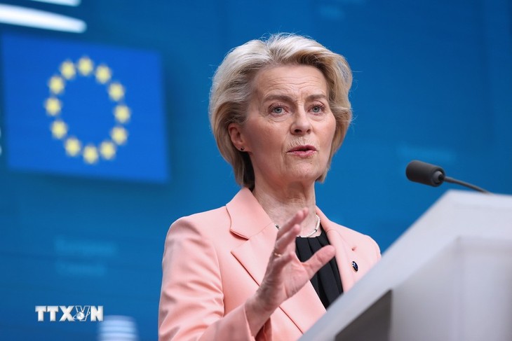 European Commission vows not to let IS reemerge in Syria - ảnh 1