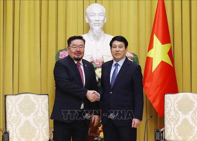 Vietnam, Mongolia advance comprehensive cooperation and friendship  - ảnh 1