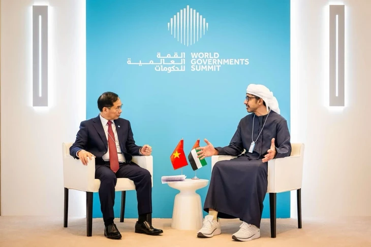 Vietnam, UAE agree to promote cooperation - ảnh 1