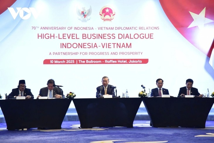 Party leader highlights huge potential for Vietnam-Indonesia cooperation - ảnh 1