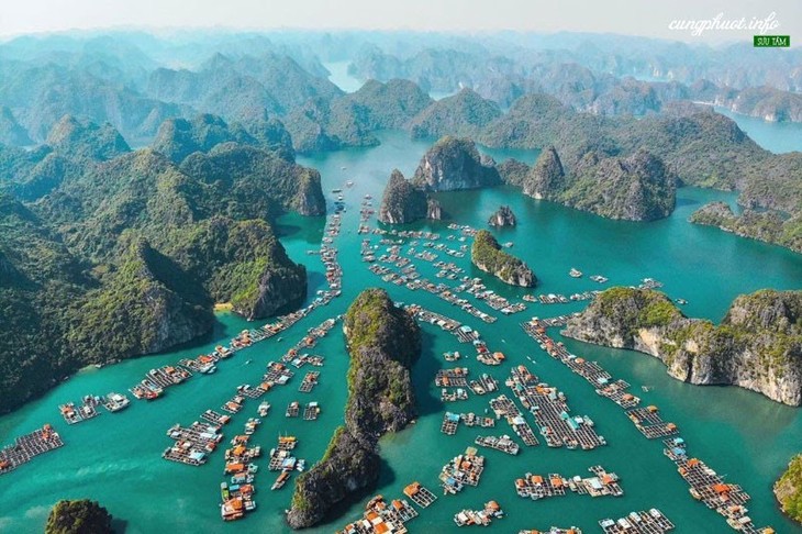 Cat Ba chosen as location for Hollywood film project - ảnh 1