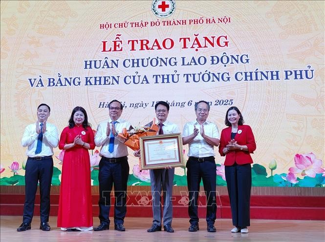 Vietnam salutes lifesavers on World Blood Donor Day - ảnh 1