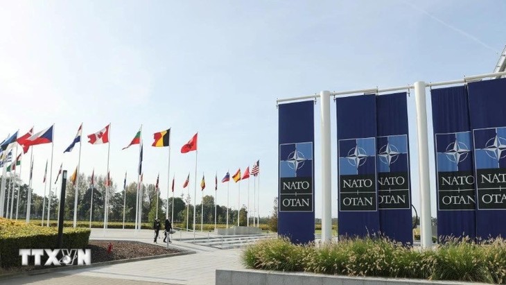 Poland approves deployment of NATO forces on its territory  - ảnh 1