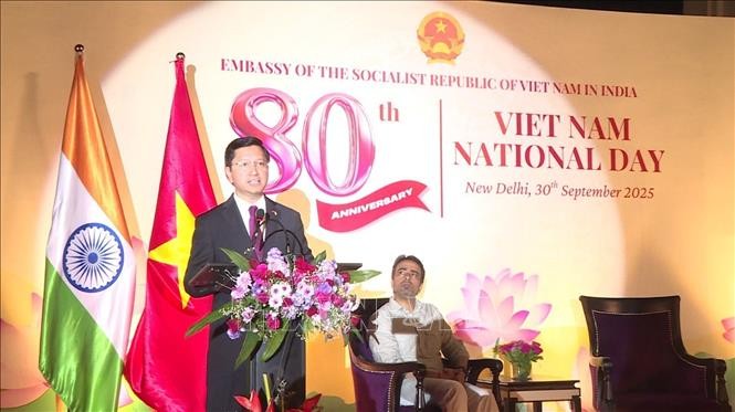 New opportunities to strengthen friendship between Vietnam and India - ảnh 1
