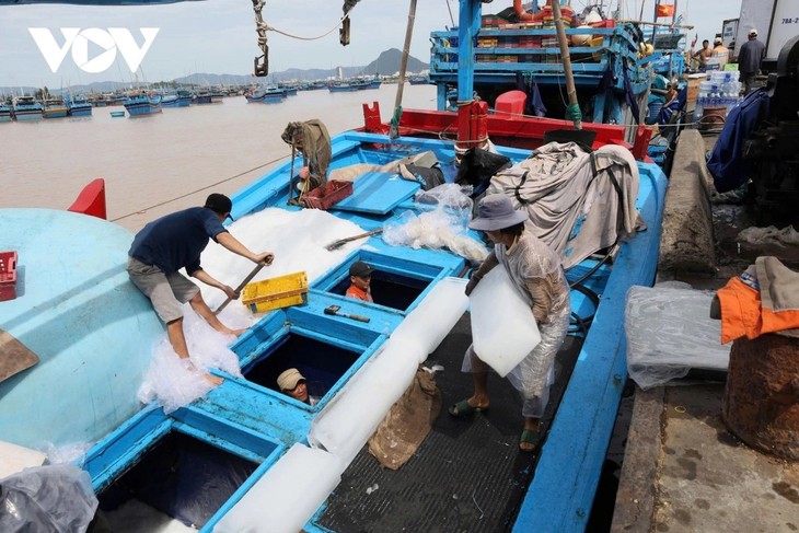 Dak Lak fishermen intensify efforts against IUU fishing  - ảnh 1