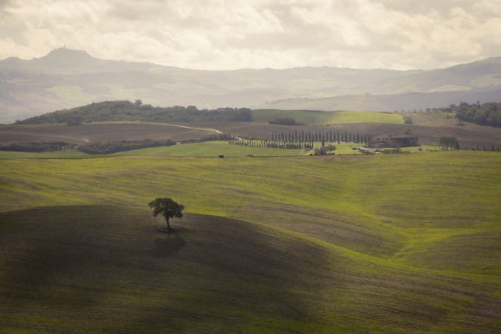 A guide to traditional Tuscan cuisine - ảnh 1