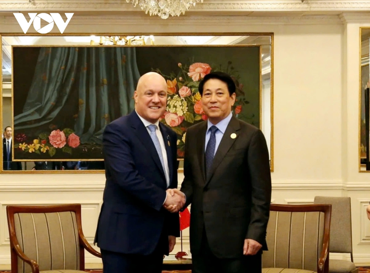 President holds bilateral meetings during APEC Economic Leaders’ Week - ảnh 1