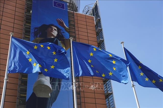 EU pledges more support for Ukraine - ảnh 1