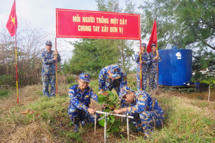 Tree planting festival underway in Spratly islands - ảnh 1